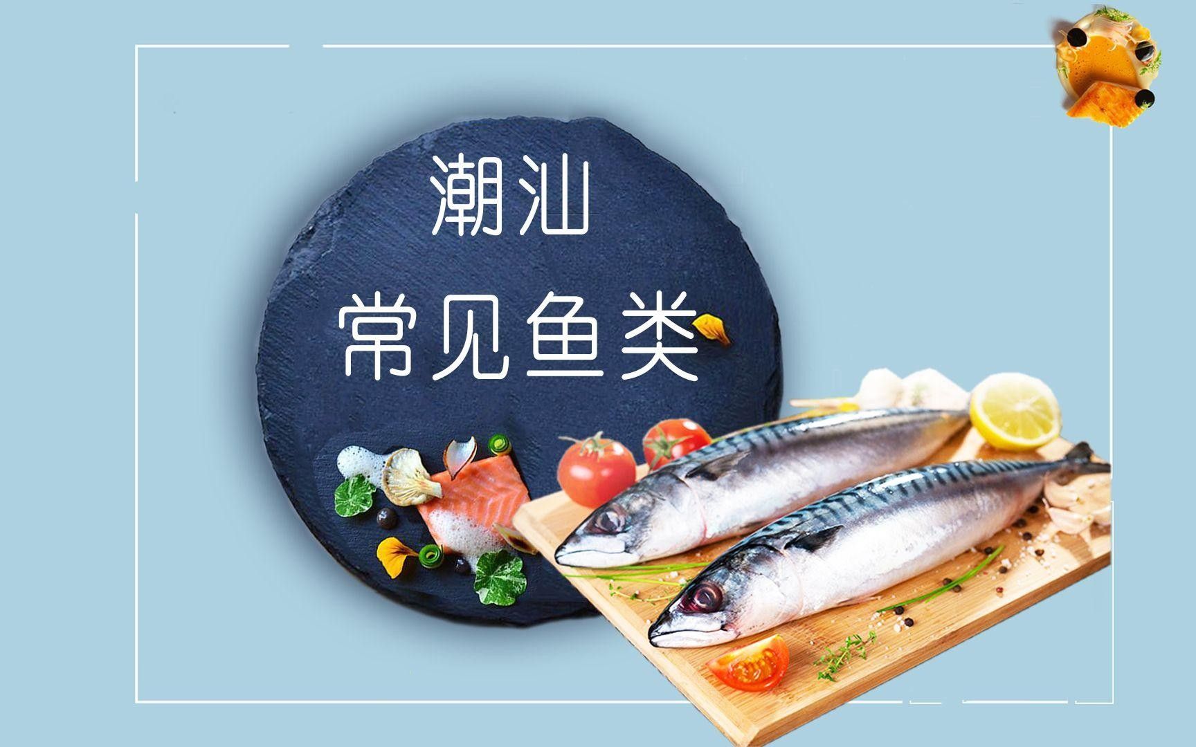 汕尾魚類圖片（汕尾十一種常見魚類大揭秘哪種最鮮美全民小視頻） 汕尾魚類圖片（汕尾十一種常見魚類大揭秘哪種最鮮美全民小視頻） 觀賞魚百科 第10張