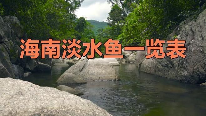 海南十大淡水魚（海南十大淡水魚vivian小灶海南淡水魚一覽表劇癮不管飯） 海南十大淡水魚（海南十大淡水魚vivian小灶海南淡水魚一覽表劇癮不管飯） 觀賞魚百科 第1張