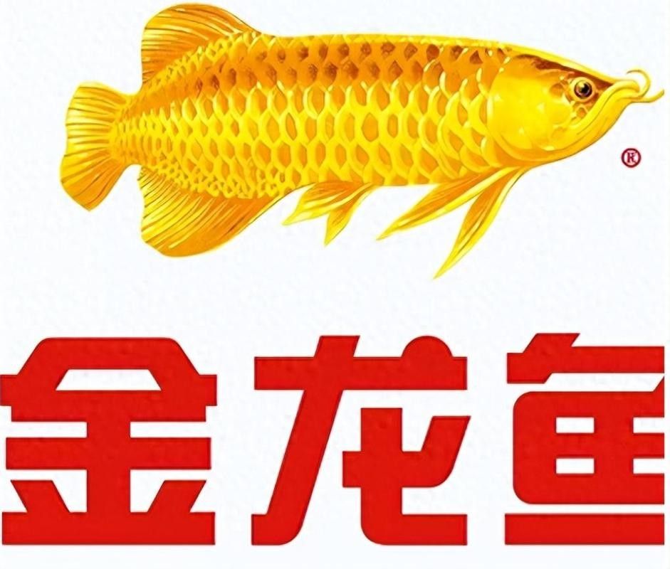 東臺金龍魚是雜牌子嗎（東臺金龍魚是不是雜牌子？）