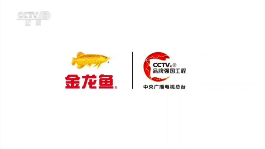 東臺金龍魚是雜牌子嗎（東臺金龍魚是不是雜牌子？）