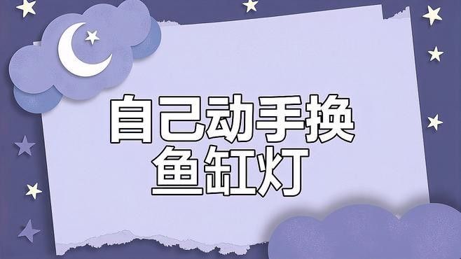 龍魚缸燈多久換一次？（魚缸燈的更換頻率取決于多個因素） 龍魚缸燈多久換一次？（魚缸燈的更換頻率取決于多個因素） 龍魚百科 第3張