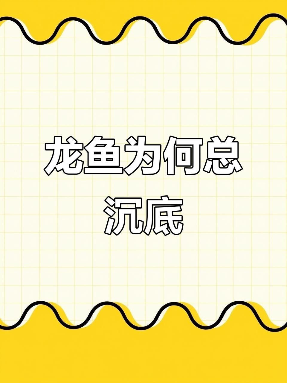 龍魚不動是什么原因（龍魚一動不動怎么辦） 龍魚不動是什么原因（龍魚一動不動怎么辦） 觀賞魚百科 第2張