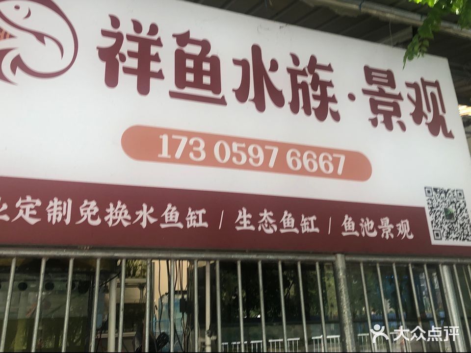 漳平哪個水族館龍魚好？祥龍魚場龍魚（漳平市祥龍魚場） 漳平哪個水族館龍魚好？祥龍魚場龍魚（漳平市祥龍魚場） 龍魚百科 第6張