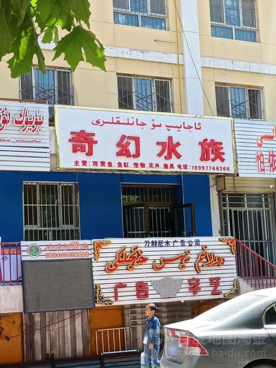 麥蓋提哪個水族館龍魚好？祥龍魚場龍魚