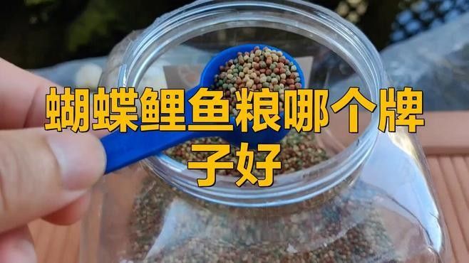 蝴蝶鯉魚品牌介紹