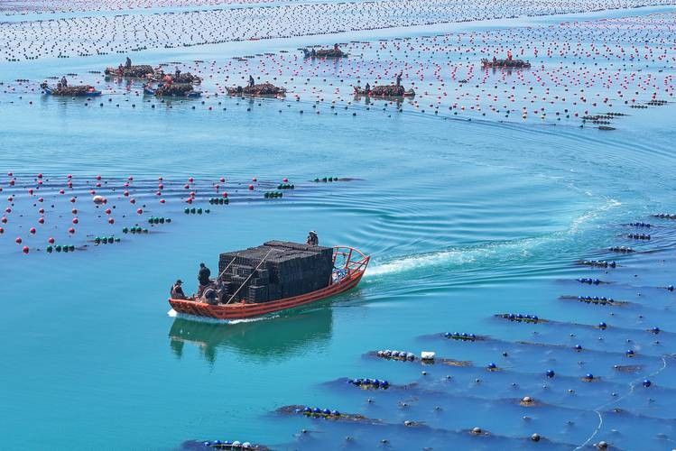 龍騰四海魚場的口碑如何？