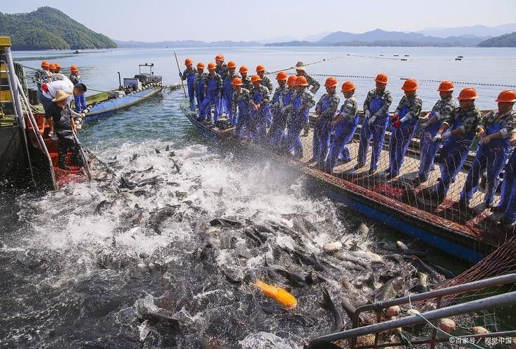 龍騰四海魚場的口碑如何？