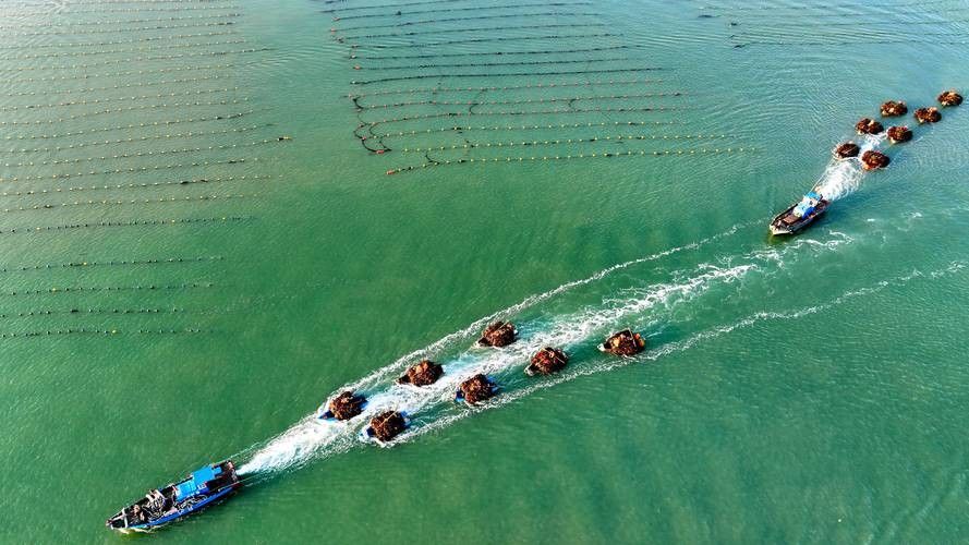 龍騰四海魚場的口碑如何？