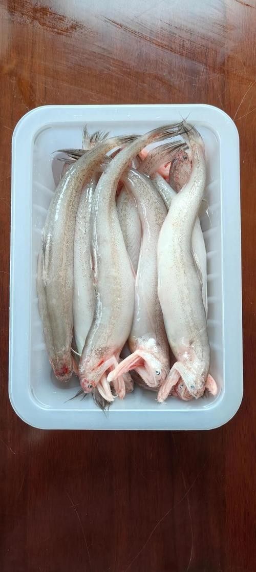 龍頭魚是哪里的特產(chǎn)
