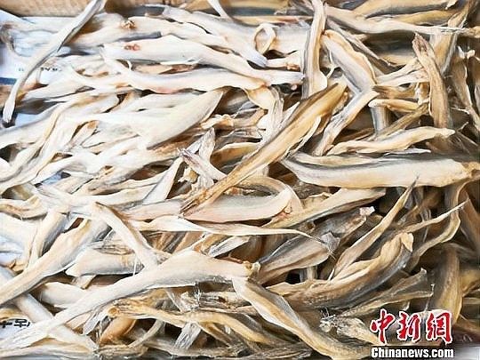 龍頭魚是哪里的特產(chǎn)