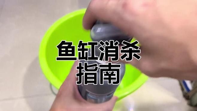 龍魚缸清洗后如何消毒 龍魚缸清洗后如何消毒 龍魚百科 第1張