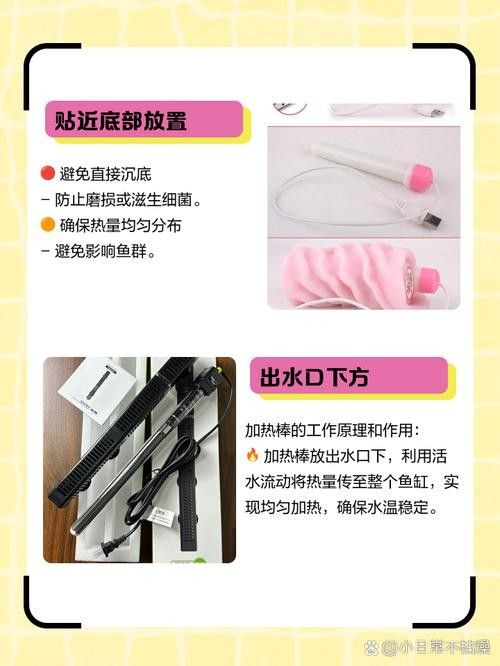 加熱棒應該放在魚缸的什么位置（魚缸加熱棒怎么放）