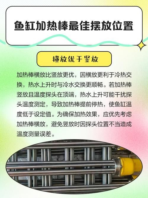 加熱棒應該放在魚缸的什么位置（魚缸加熱棒怎么放）