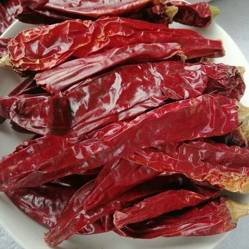 紅龍辣椒小紅龍是雜牌嗎 紅龍辣椒小紅龍是雜牌嗎 觀賞魚百科 第1張