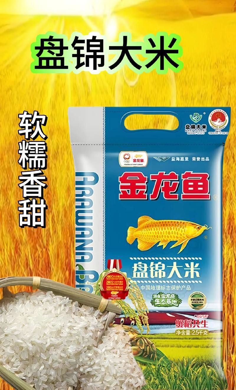 江岸金龍魚和江岸金龍魚哪個更值得購買