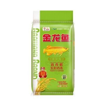 江岸金龍魚和江岸金龍魚哪個更值得購買