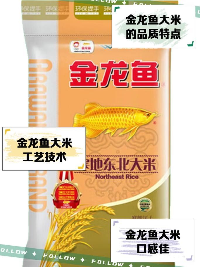 江岸金龍魚和江岸金龍魚哪個更值得購買