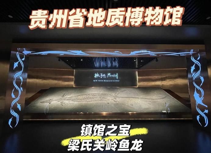 推薦一些高清的龍魚化石圖片資源 推薦一些高清的龍魚化石圖片資源 龍魚百科 第22張