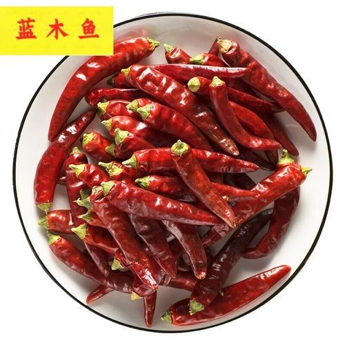 石柱金龍魚多少錢一只（石柱金龍魚多少錢一只石柱金龍魚市場價格走勢查詢）
