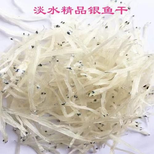 都昌銀魚 都昌銀魚 觀賞魚百科 第6張