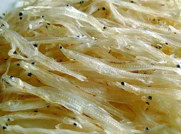 都昌銀魚 都昌銀魚 觀賞魚百科 第4張