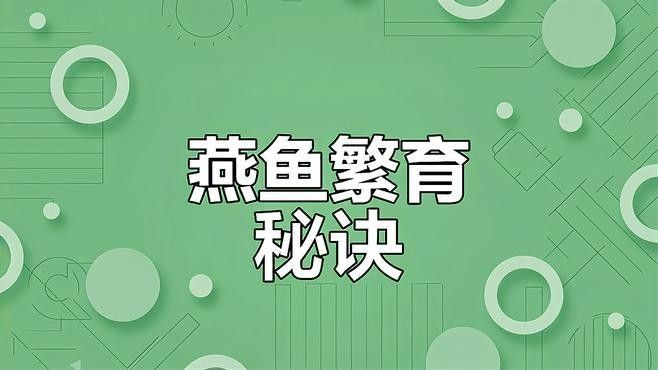 燕魚繁殖期如何設置產卵區？（四川農村信息網不到三分鐘燕魚繁殖全攻略）