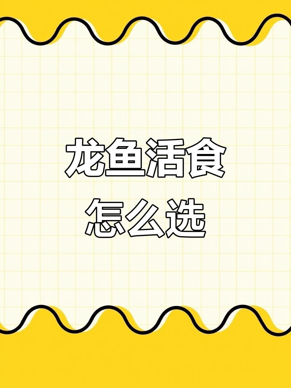 龍魚可以喂生牛肉嗎
