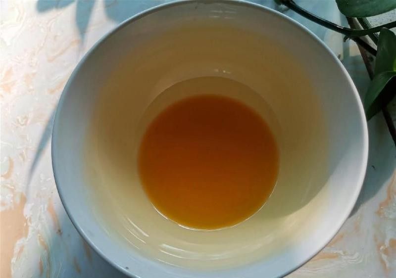 高力板金龍魚是什么檔次 高力板金龍魚是什么檔次 觀賞魚百科 第8張
