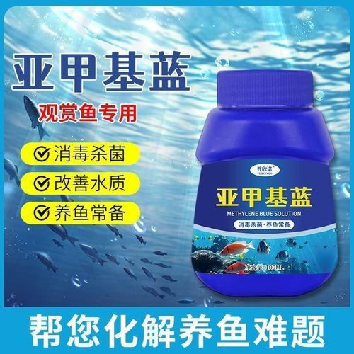 藍色恐龍魚的市場價格是多少（藍色恐龍魚市場價格是多少藍色恐龍魚的市場價格是多少） 藍色恐龍魚的市場價格是多少（藍色恐龍魚市場價格是多少藍色恐龍魚的市場價格是多少） 龍魚百科 第5張