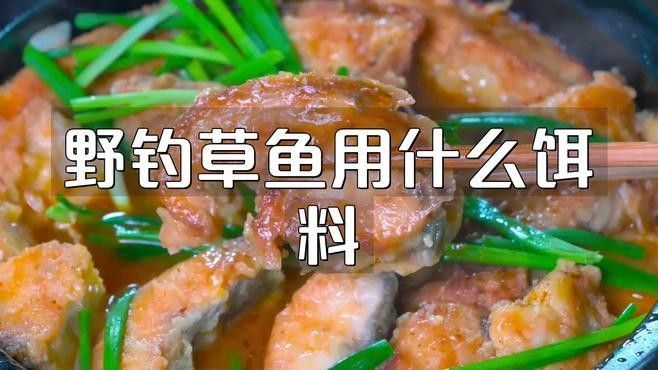 金龍魚餌游釣中國野釣青魚草魚