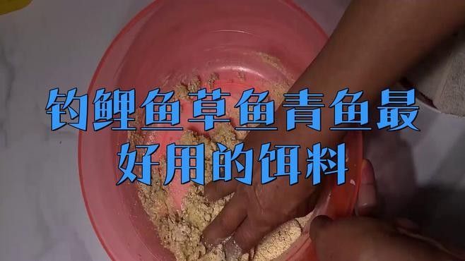 金龍魚餌游釣中國野釣青魚草魚
