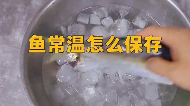 飛鳳魚吸龍魚后如何處理？（飛鳳魚吸食龍魚后怎么辦？）