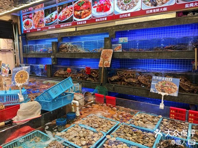 喀什哪里可以買到龍魚？