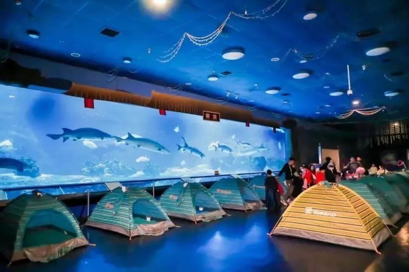 下關哪個水族館龍魚好？祥龍魚場龍魚（下關哪個水族館龍魚好）
