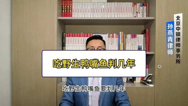 撒旦鴨嘴魚屬于國家保護動物嗎（撒旦鴨嘴魚是國家保護動物嗎） 撒旦鴨嘴魚屬于國家保護動物嗎（撒旦鴨嘴魚是國家保護動物嗎） 觀賞魚百科 第3張