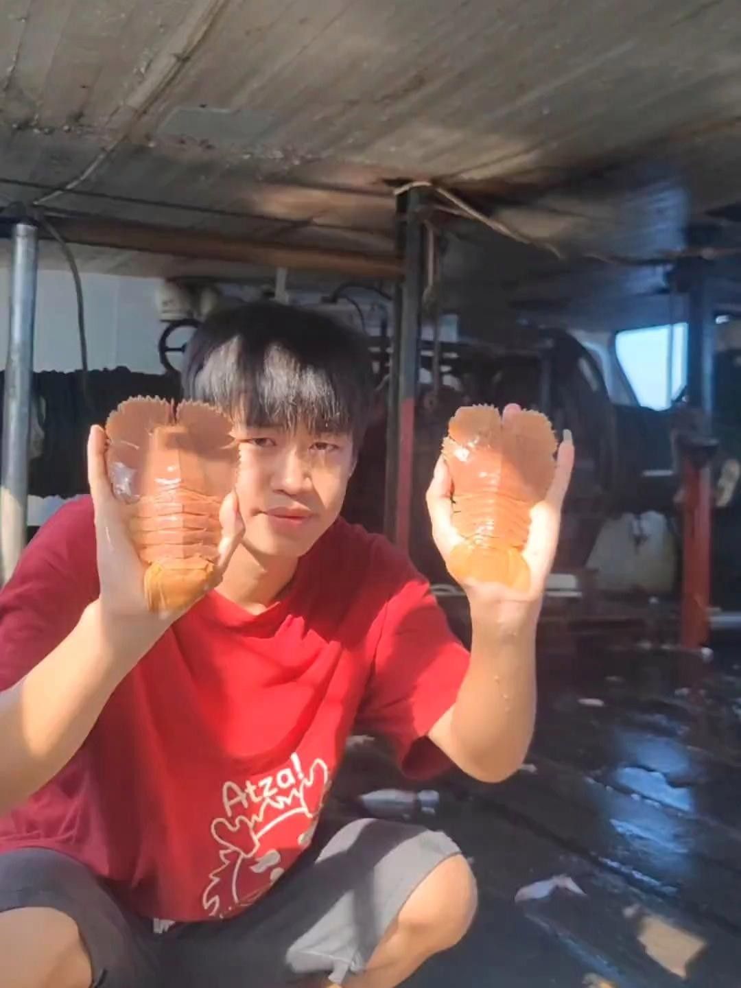 紅龍海水魚是什么品種 紅龍海水魚是什么品種 觀賞魚百科 第1張