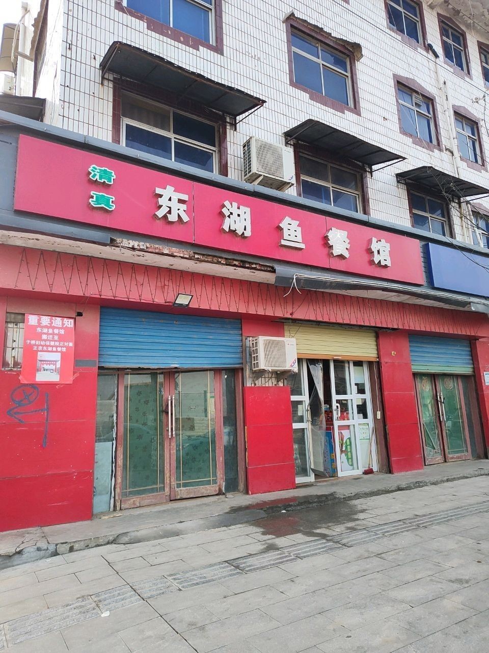 淮陽哪一家魚好吃（周口淮陽魚餐廳） 淮陽哪一家魚好吃（周口淮陽魚餐廳） 觀賞魚百科 第1張