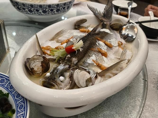 清蒸和順魚圖片 觀賞魚百科 第3張 清蒸和順魚圖片 清蒸和順魚圖片 觀賞魚百科 第3張