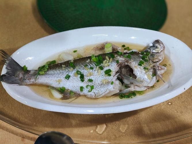 清蒸和順魚圖片 觀賞魚百科 第4張 清蒸和順魚圖片 清蒸和順魚圖片 觀賞魚百科 第4張