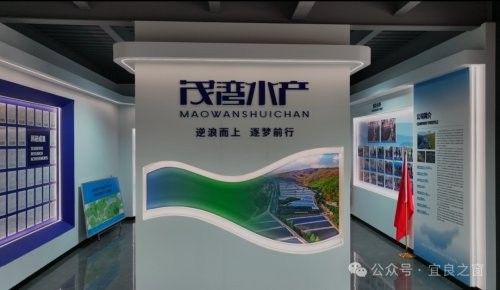 宜良紅龍魚屬于雜牌嗎（宜良紅龍魚屬于什么級別的檔次）