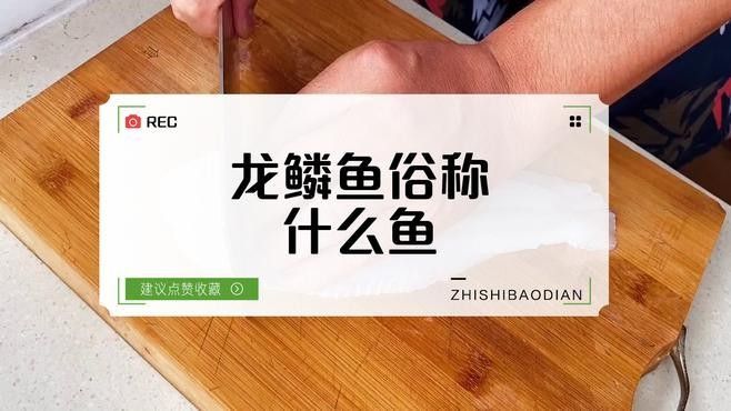 龍鱗魚是什么魚