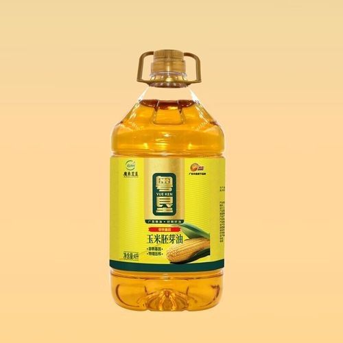 菏澤金龍魚 菏澤金龍魚 觀賞魚百科 第17張