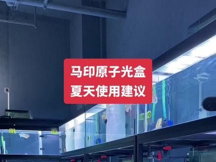 如何安裝馬印原子光盒第二代 如何安裝馬印原子光盒第二代 龍魚百科 第1張