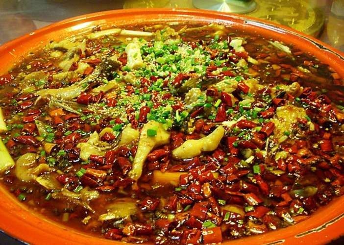 四川土鳳魚圖片（關于四川土鳳魚的簡要介紹）