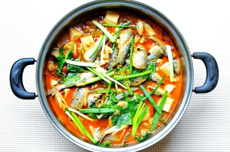 四川土鳳魚圖片（關于四川土鳳魚的簡要介紹）