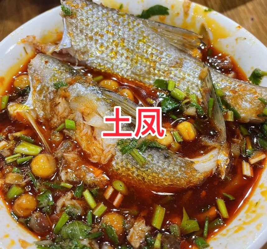 四川土鳳魚圖片（關于四川土鳳魚的簡要介紹）