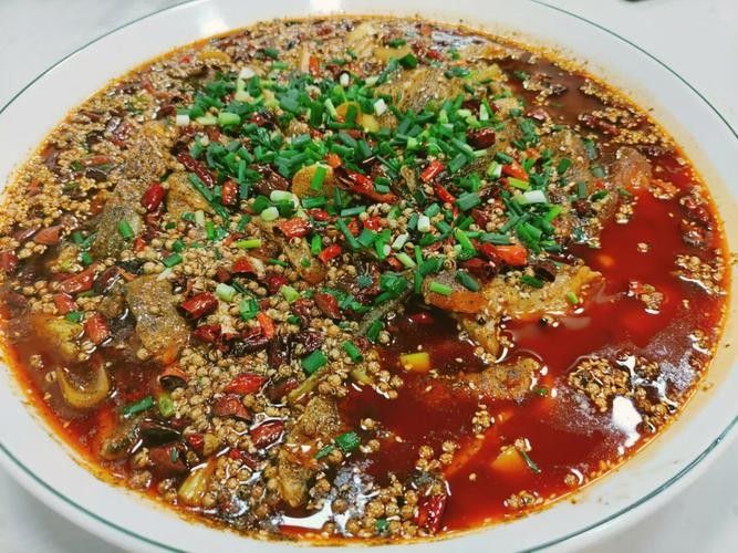 四川土鳳魚圖片（關于四川土鳳魚的簡要介紹）
