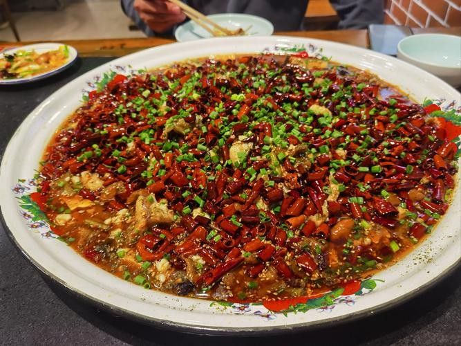 四川土鳳魚圖片（關于四川土鳳魚的簡要介紹）