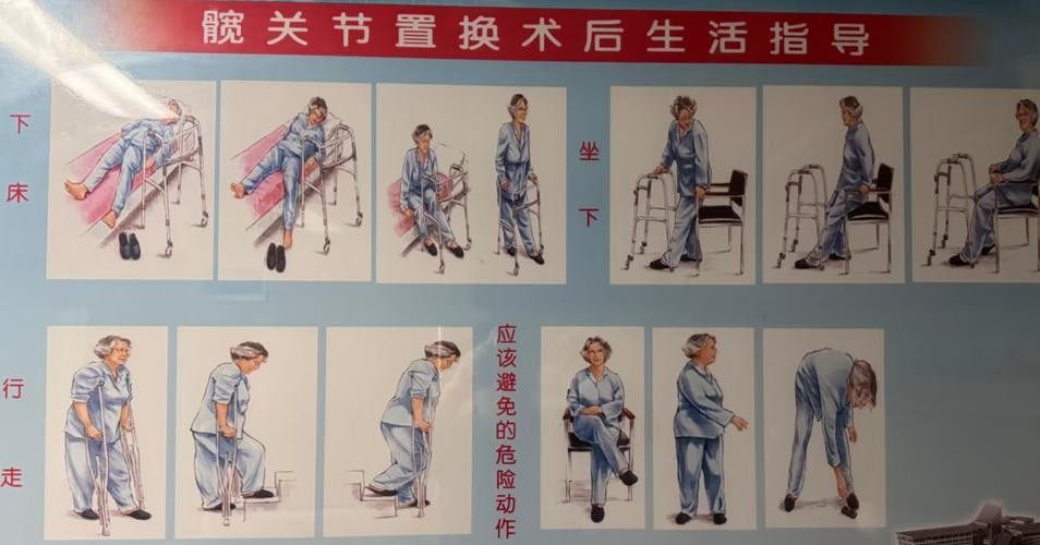 闌尾炎手術后如何預防復發 龍魚百科 第5張 闌尾炎手術后如何預防復發 闌尾炎手術后如何預防復發 龍魚百科 第5張