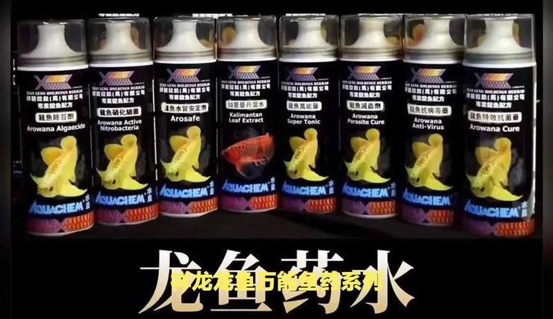 六枝哪個水族館龍魚好？祥龍魚場龍魚